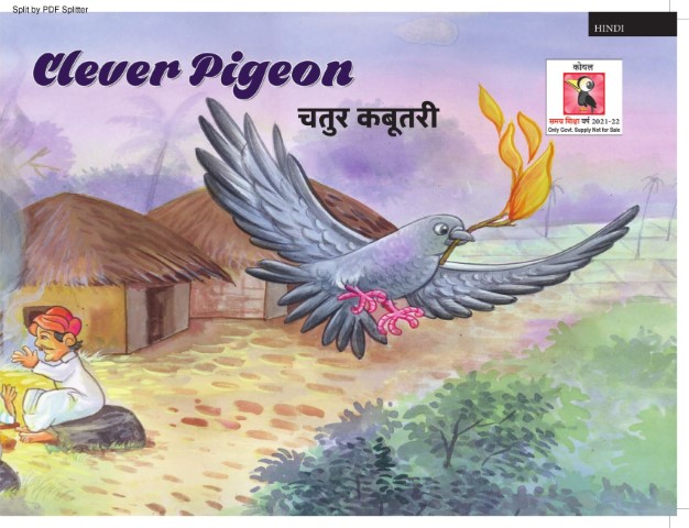 Clever Pigeon